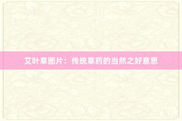 艾叶草图片：传统草药的当然之好意思
