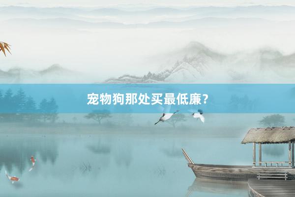 宠物狗那处买最低廉？