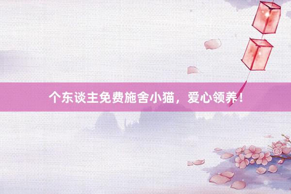 个东谈主免费施舍小猫，爱心领养！