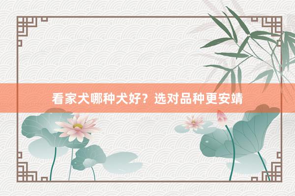 看家犬哪种犬好？选对品种更安靖