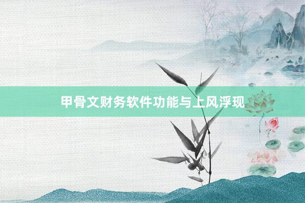 甲骨文财务软件功能与上风浮现